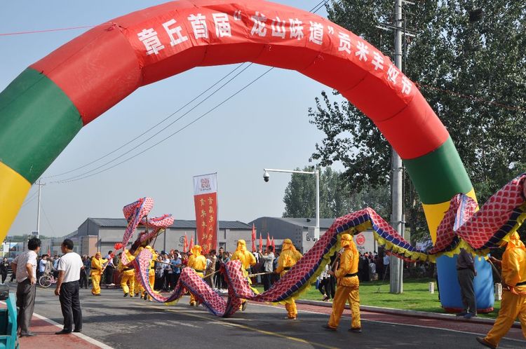 赏千亩金黄 品“龙山味道” ——走进“平陵田园”章丘区首届“龙山味道”贡米丰收节开幕